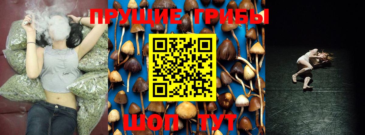 Верхний Уфалей  Галлюциногенные грибы прущие грибы  Вход с VPN  Псилоцибиновые грибы Cubensis 